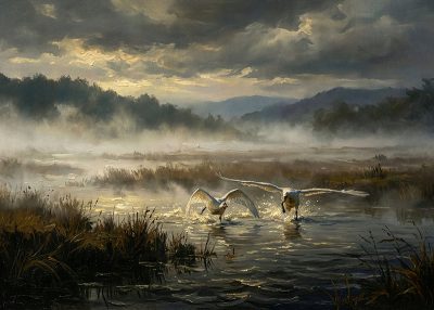 Il Risveglio del Cigno tra le Brume