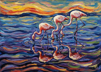 Riflessi dell'Anima
